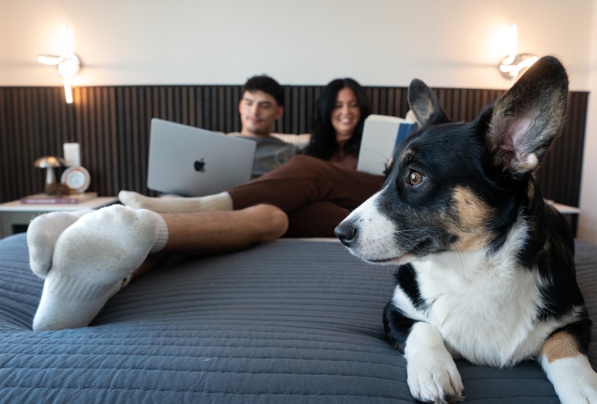 Couple relaxing in bedroom with dog