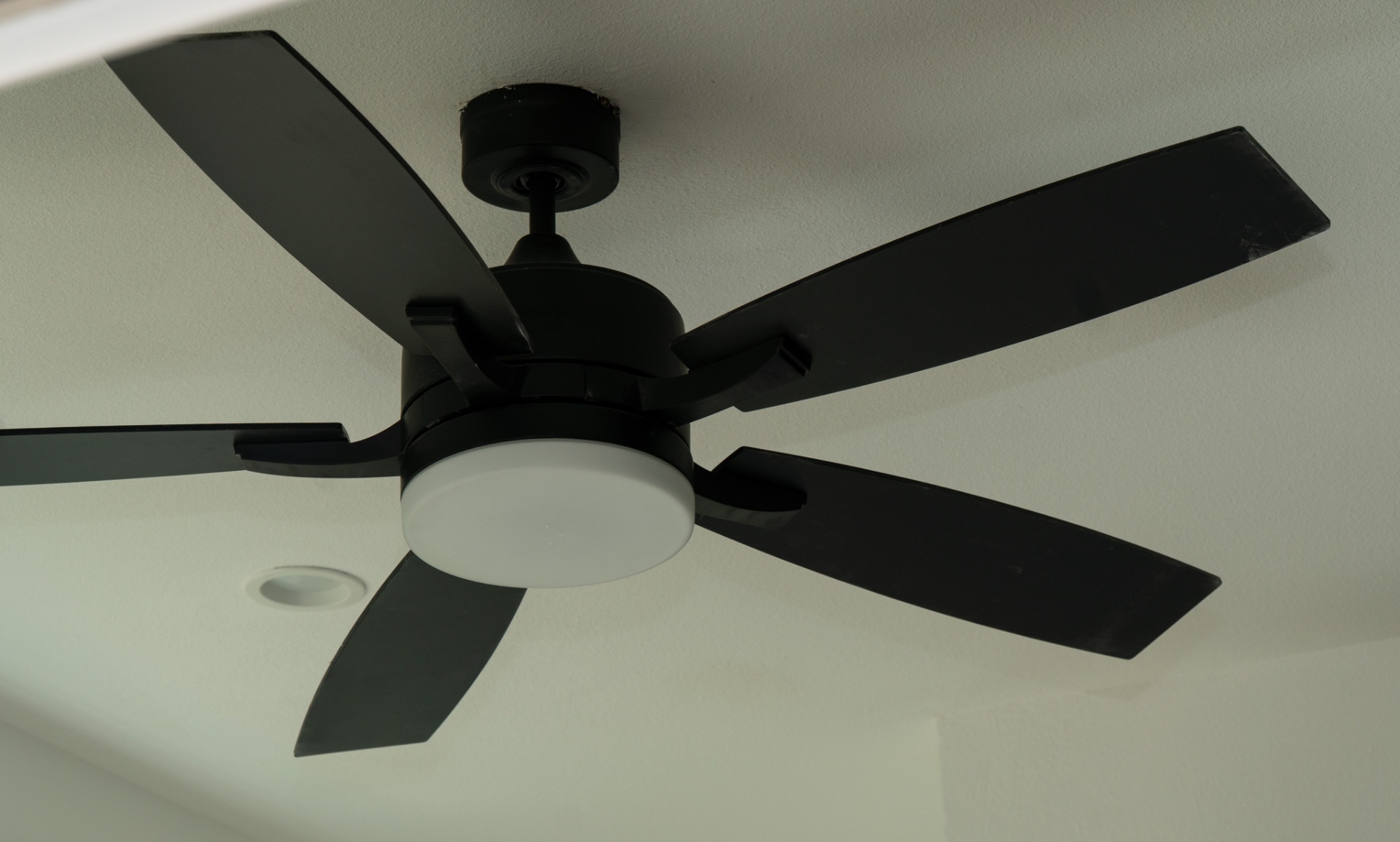Black ceiling fan with light